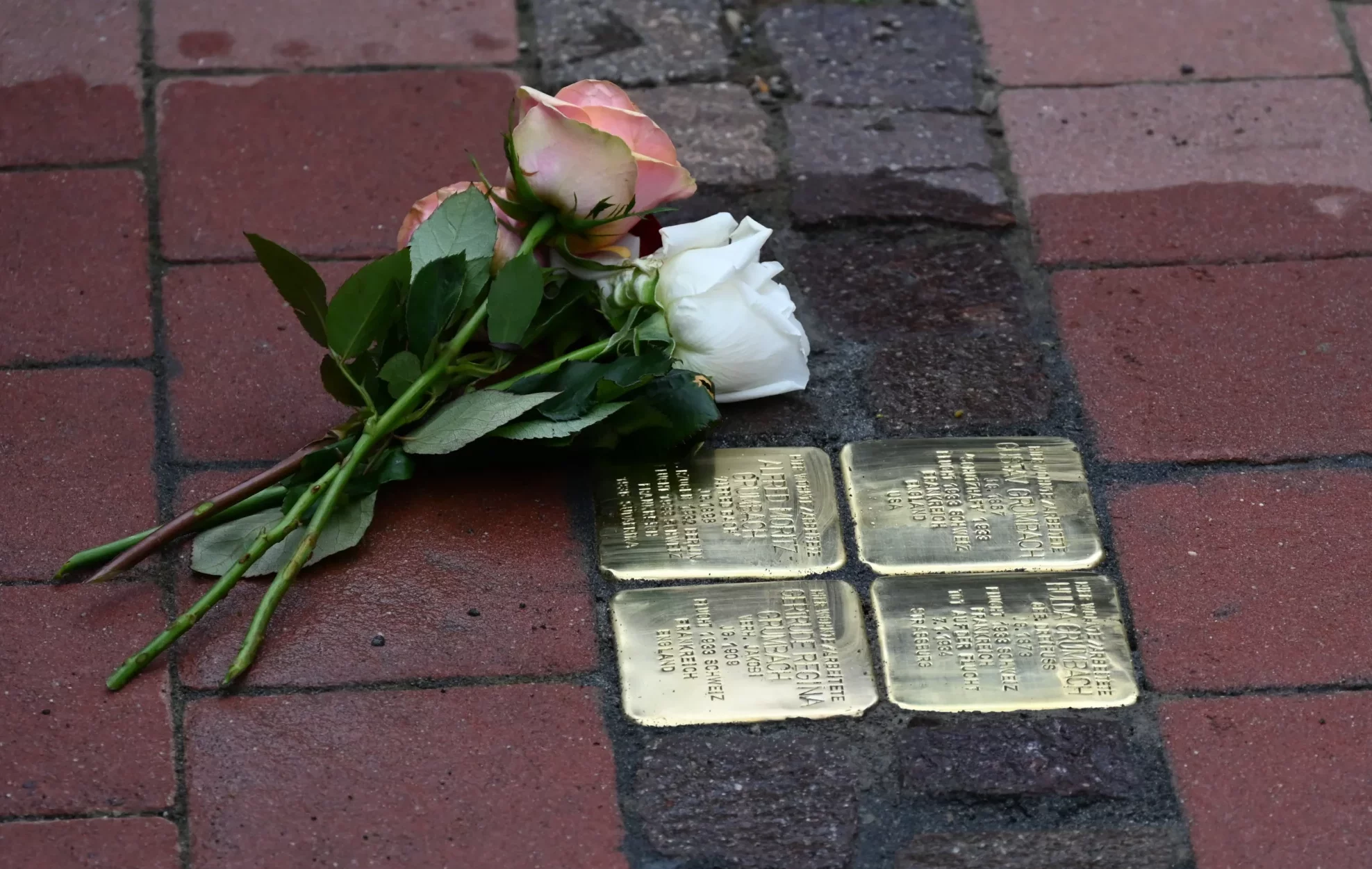 Stolpersteine für die Verfolgten Gustav, Hulda, Alfred und Gertrude Grumbach